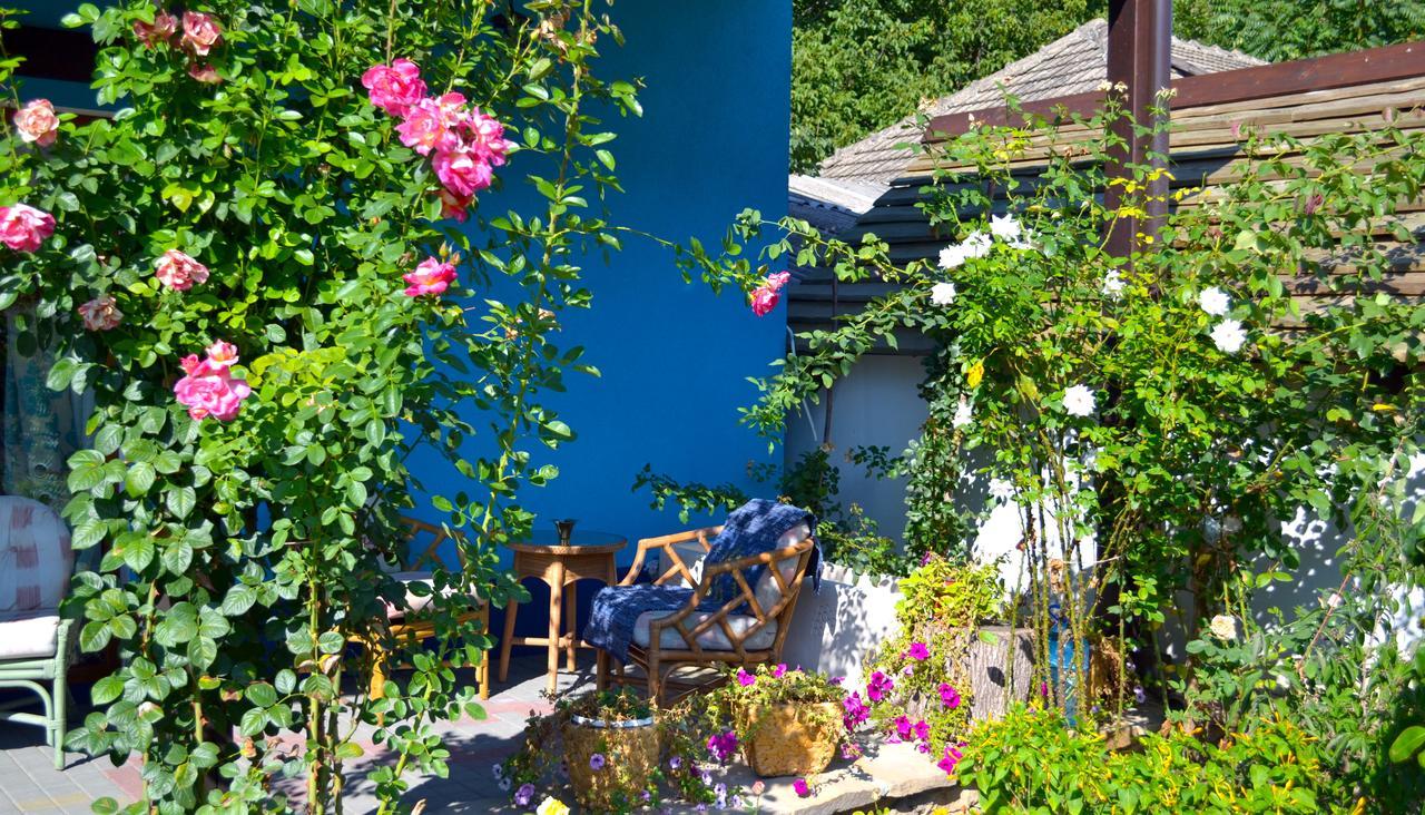 Resedinta Rotundu Bed & Breakfast Butuceny Dış mekan fotoğraf