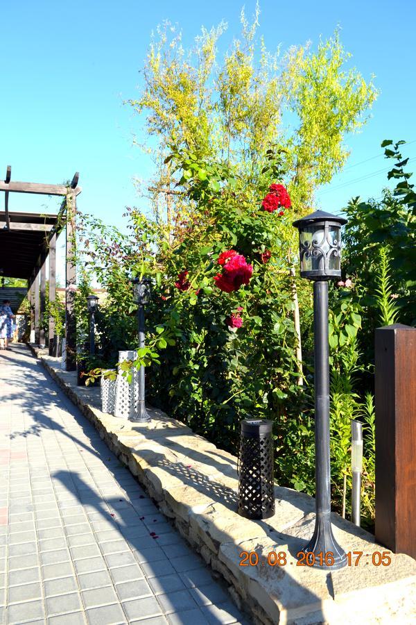 Resedinta Rotundu Bed & Breakfast Butuceny Dış mekan fotoğraf